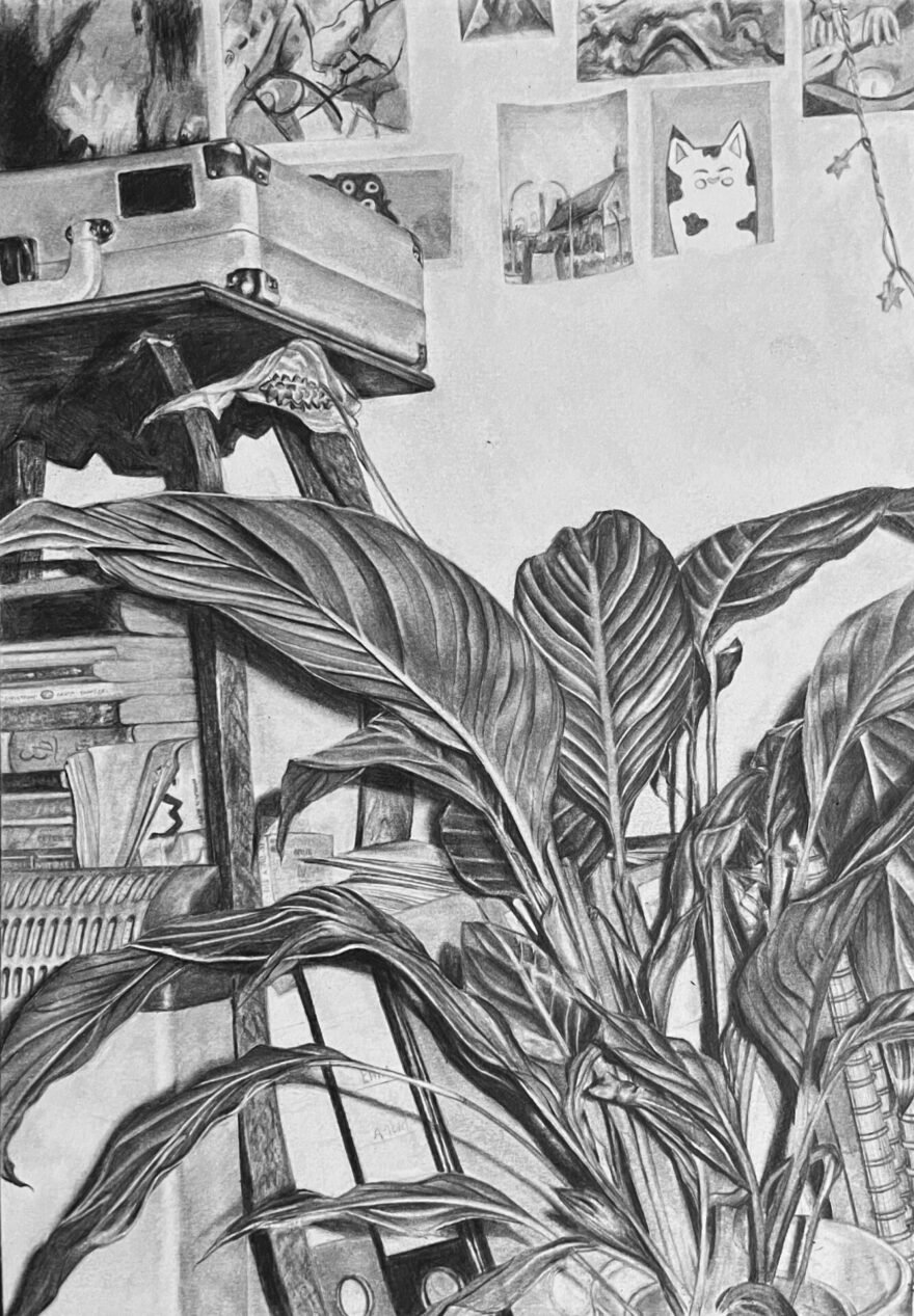 Artwork by Charlotte Youles